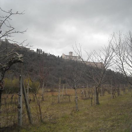 Camere le cascatelle Assisi Esterno foto