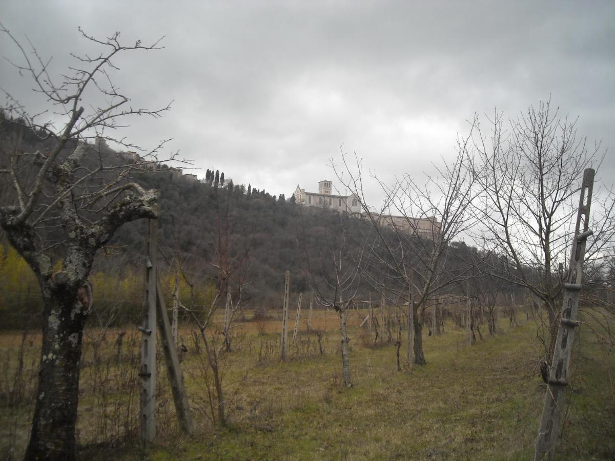 Camere le cascatelle Assisi Esterno foto